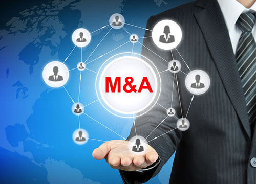 咨询服务 - 支持企业并购与合并手续